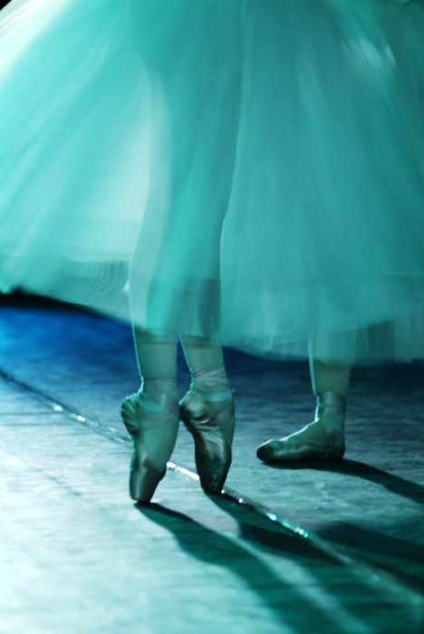 An Evening at the Ballet: Ballerinas Dance