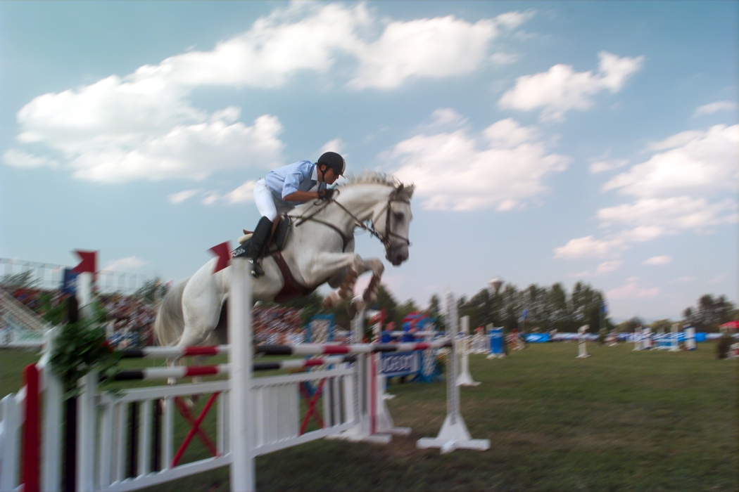 Equestrian - Horse Jumping Clearing a Parallel Oxer
