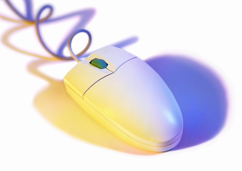 Computer Mouse