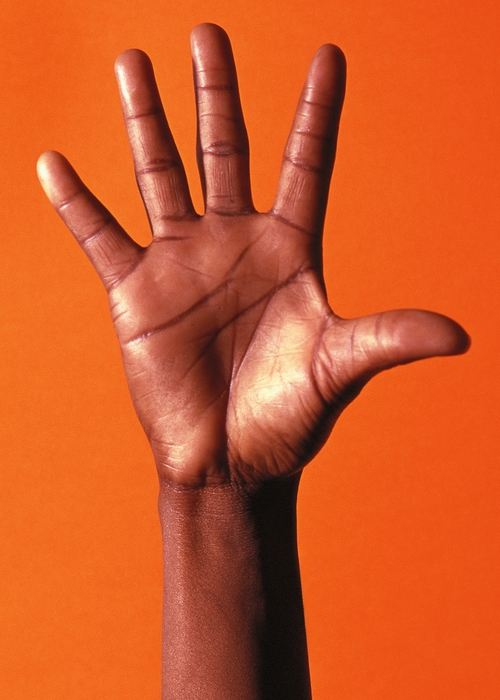 African-American Open Hand Showing Five Fingers 