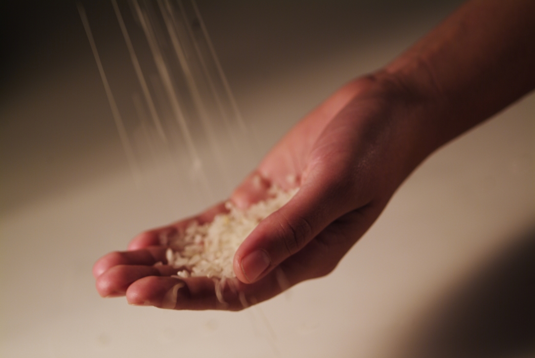 Hand Catching Rice