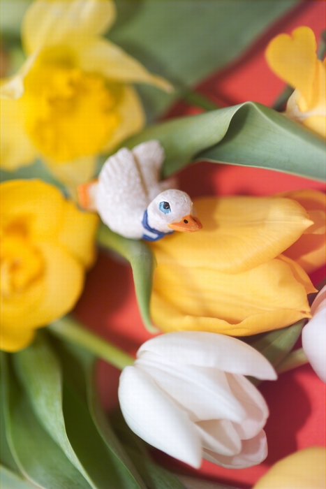 Spring Tulips with Bird