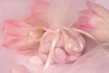 2xzpama7lu wb043217