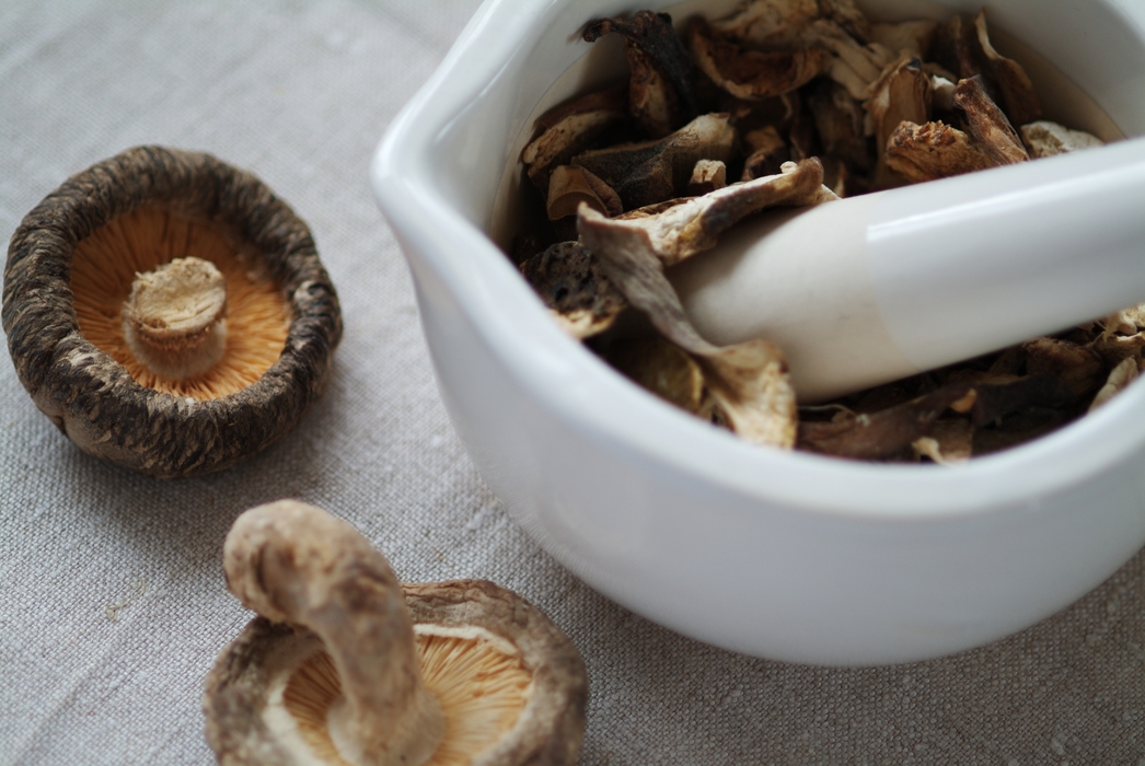 Shiitake Mushrooms with Mortar & Pestle