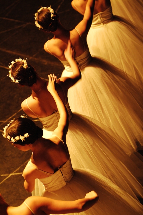 An Evening at the Ballet: Ballerinas Dance