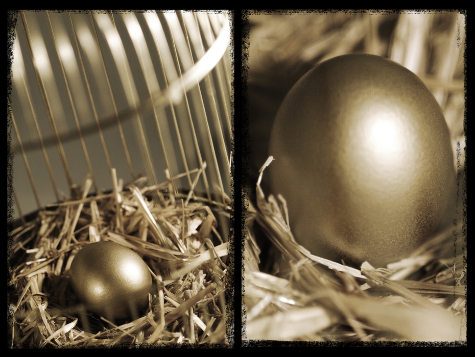Gold Nest Egg in a Cage