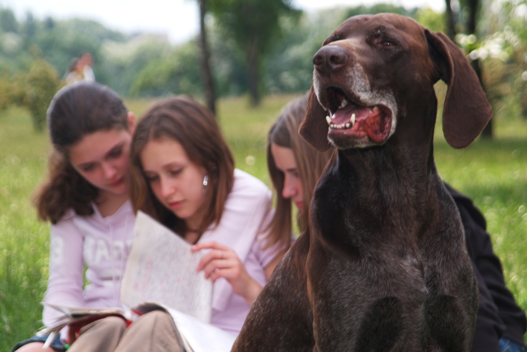 Girls Reading in the Park with Their Dog
