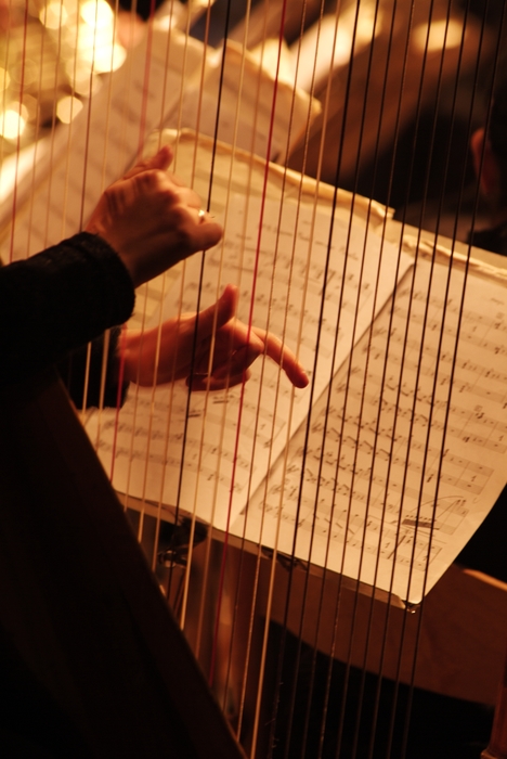 Orchestral Harpist with Sheet Music