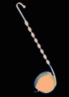 839907hj1v wb027801