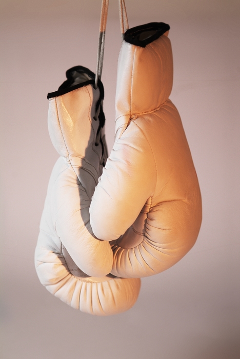 Boxing Gloves Hanging