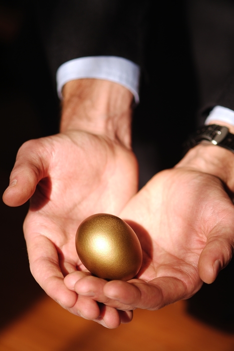 Hands Holding Gold Nest Egg