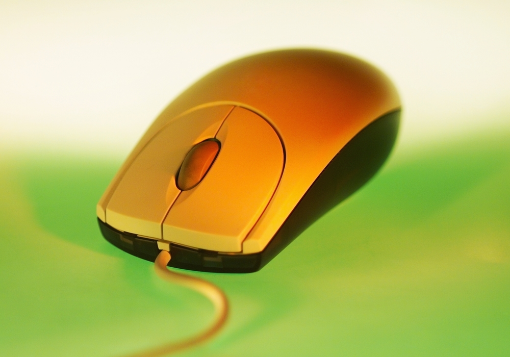 Computer Mouse