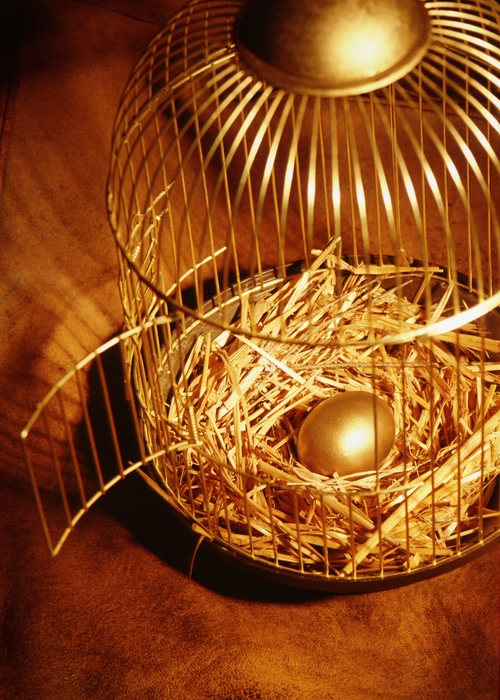 Birdcage with Golden Egg in It