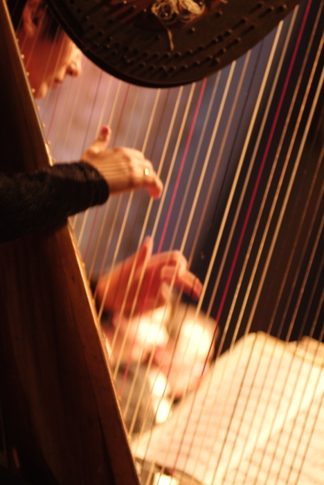 Symphony Orchestra Harpist Fingers on Strings