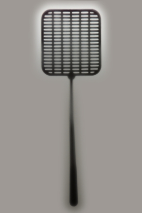 Fly Swatter