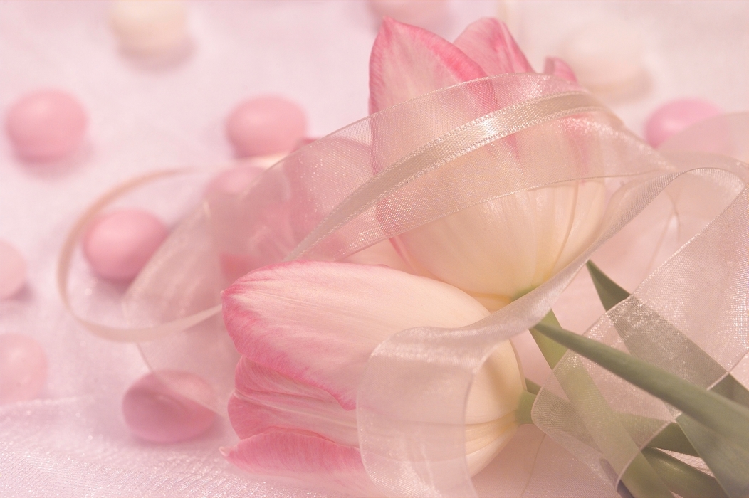 The Wedding Day:  White and Pink Tulips with Candies