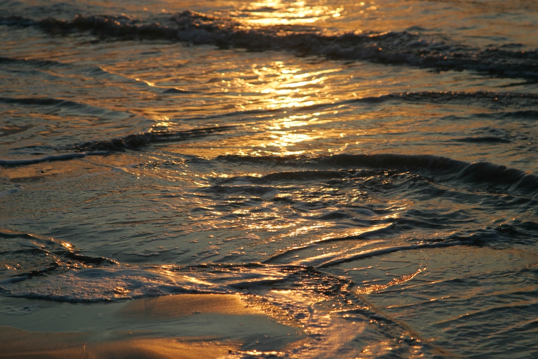 Beach Gentle Waves at Sunset