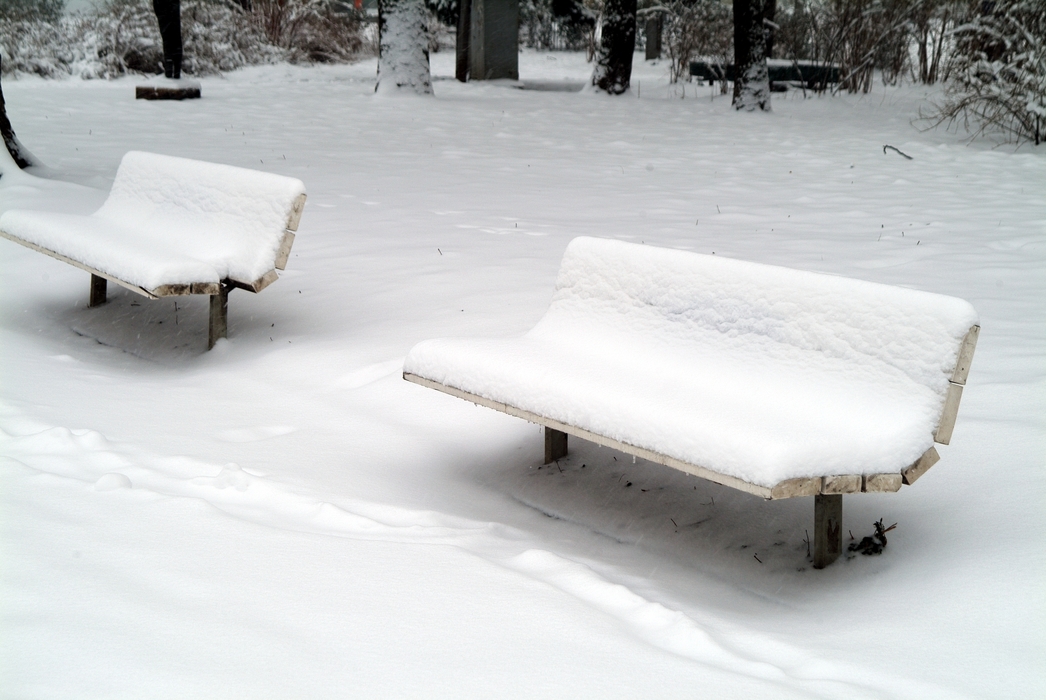 Winter Scene with Park Benches
