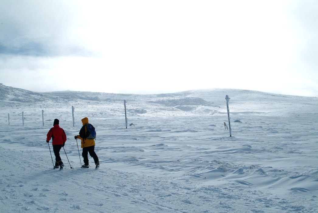 Two People Walking Through Snow with Ski Poles
