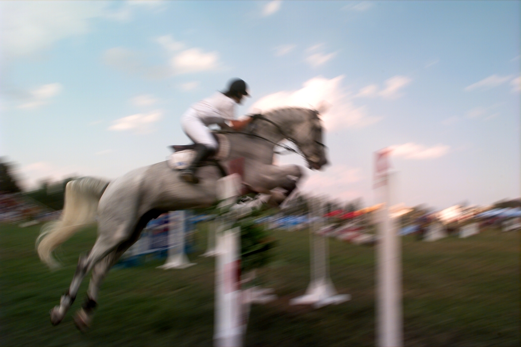 Equestrian - Horse Jumping a Parallel Oxer