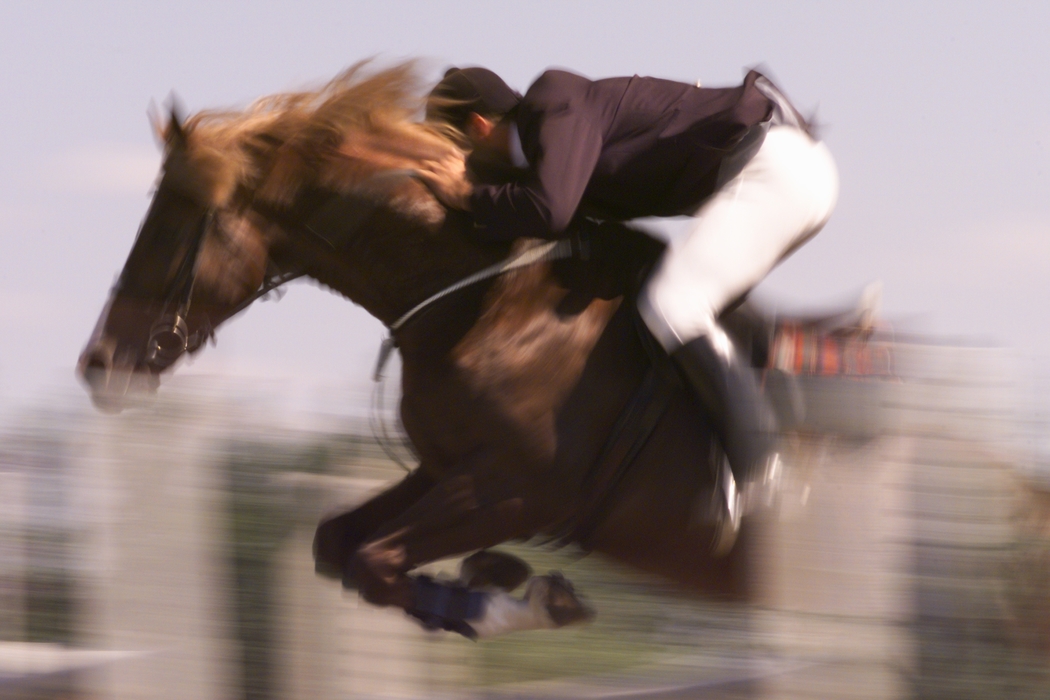 Equestrian - Horse Jumping