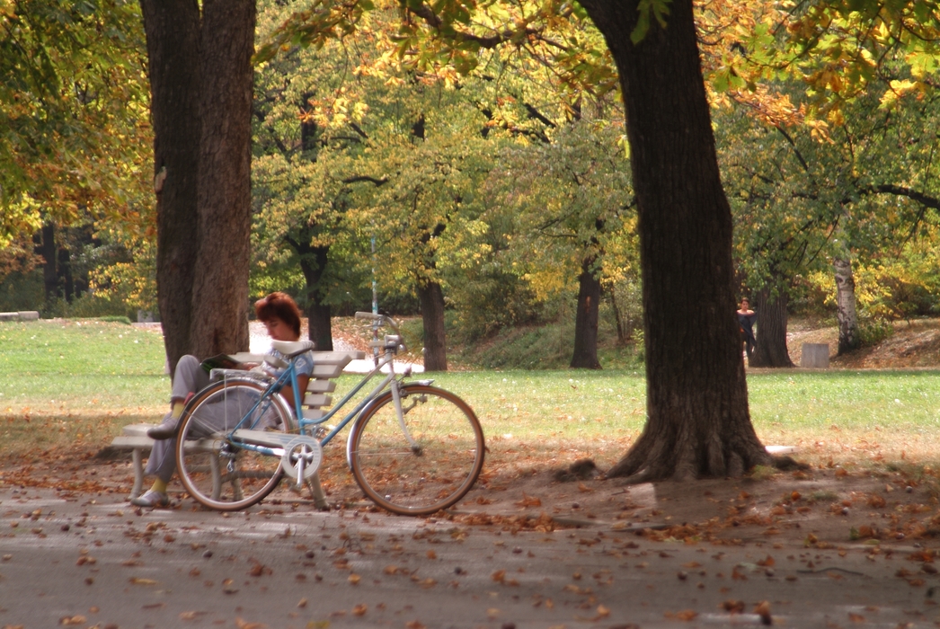 Cyclist Taking a Break in The Park
