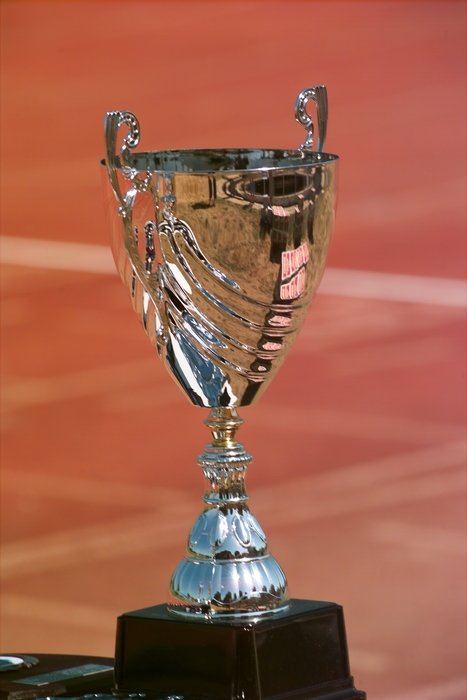 Winner's Trophy