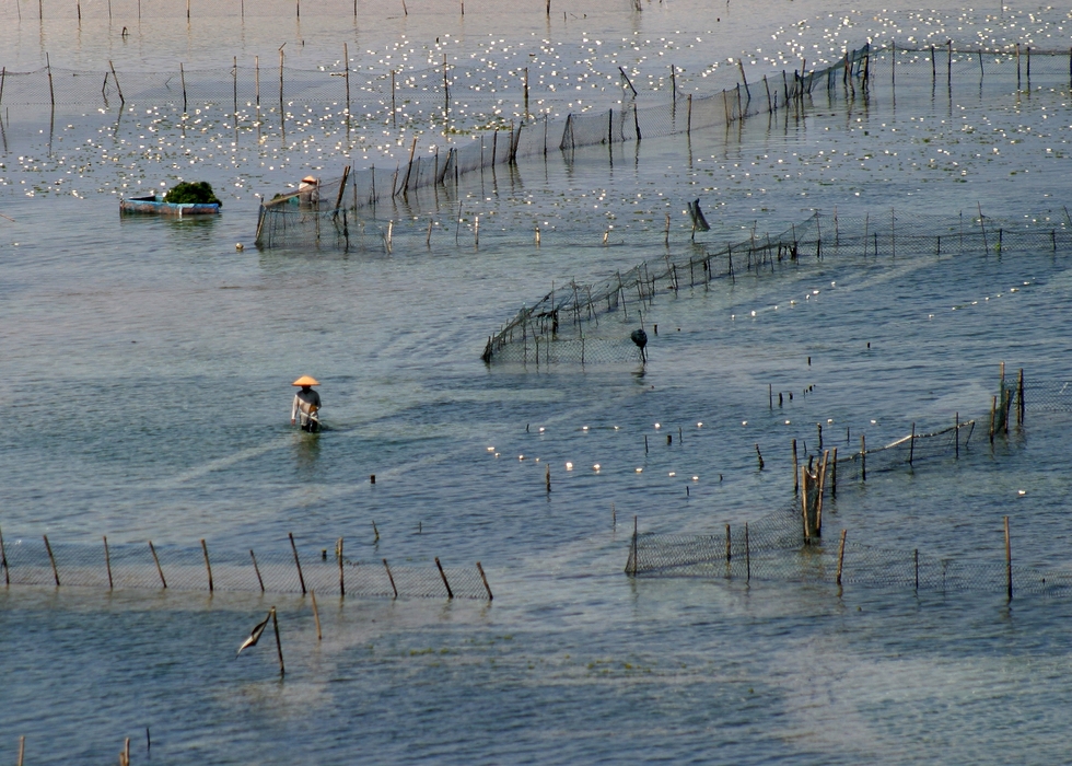 Fishing Nets, Bali, Indonesia