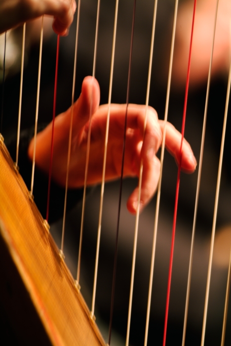 Symphony Orchestra Harpist Fingers on Strings
