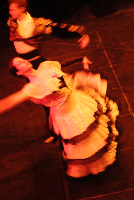 An Evening at the Ballet: Ballerinas Dance