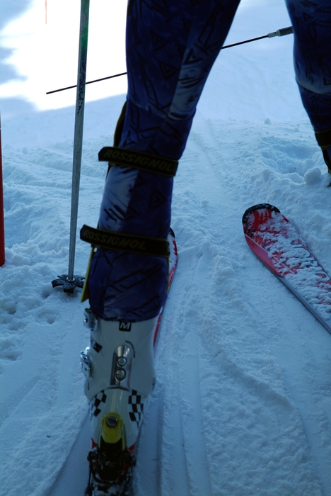 Downhill Skier Ready To Race