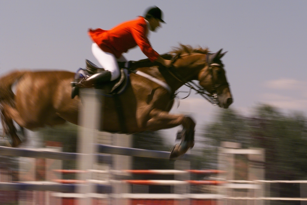 Equestrian - Brown Horse Jumps a Fence