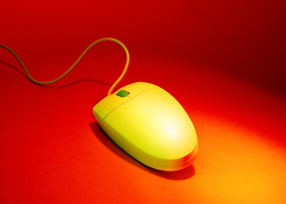 Computer Mouse