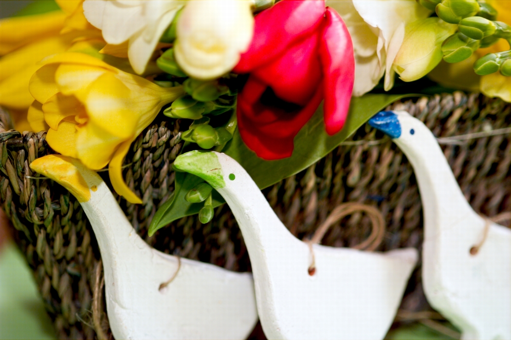 Ducks and Spring Basket of Tulip Flowers