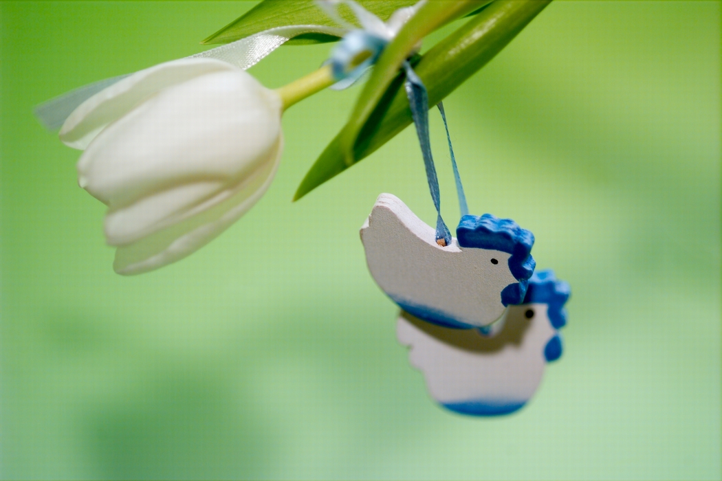 Easter Tulip Flower with Chicken Decorations