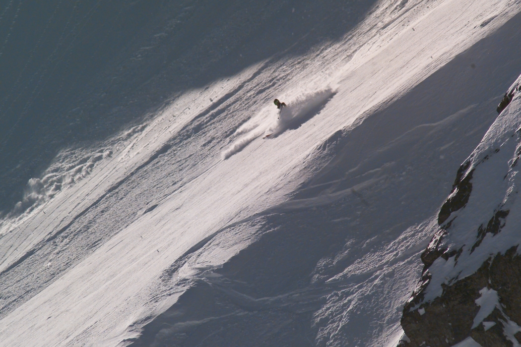 Downhill Skier in Fresh Powder