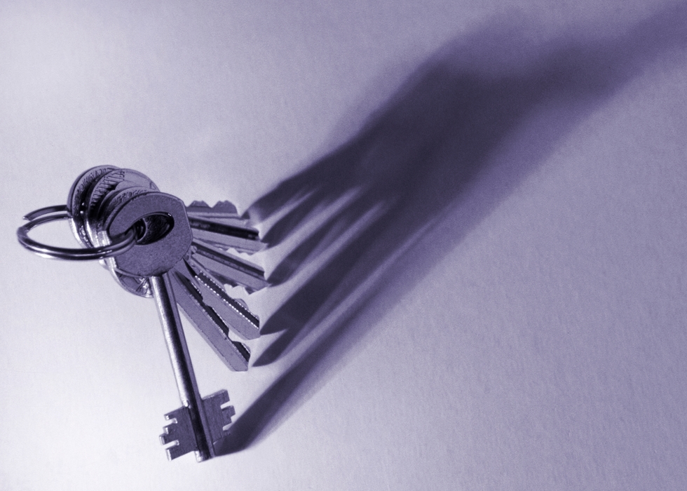 Keys on Keyring with Dramatic Shadow