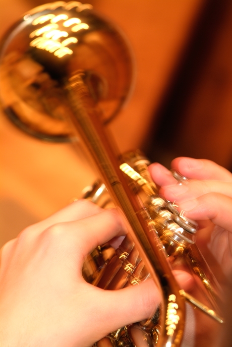 Concert Trumpeter in the Orchestra Playing