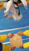 8fu2j811ej wb045079