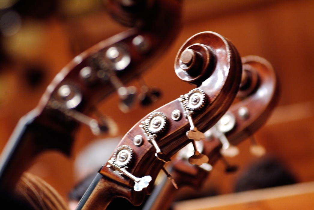 Concert Cello Headstocks in the Orchestra