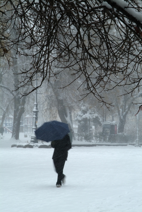 Winter Blizzard in the City