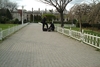 27azd1s0dz wb044882