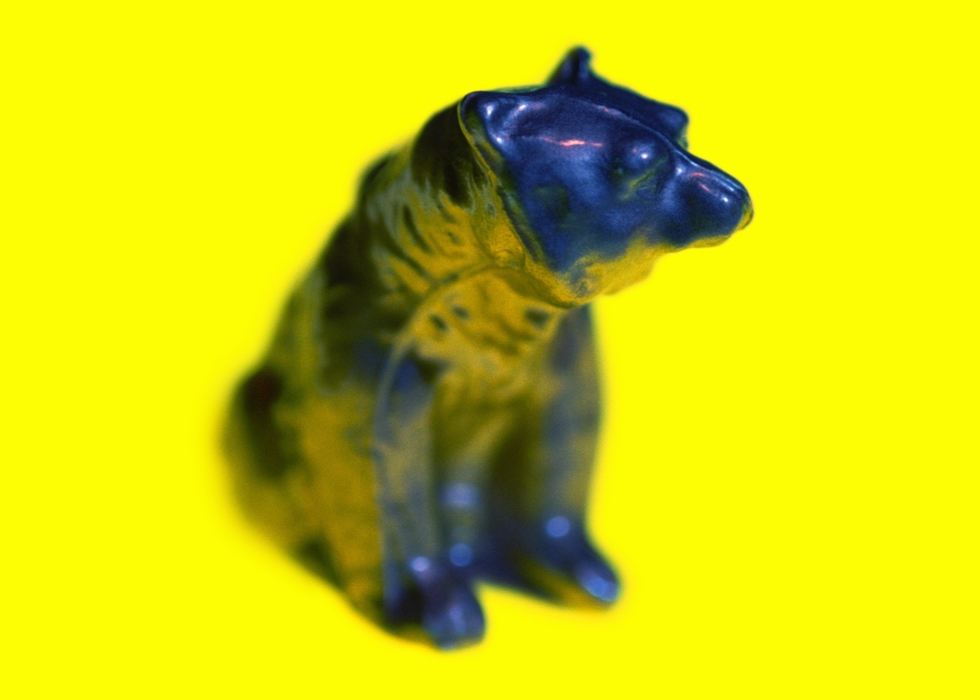 Model Bear