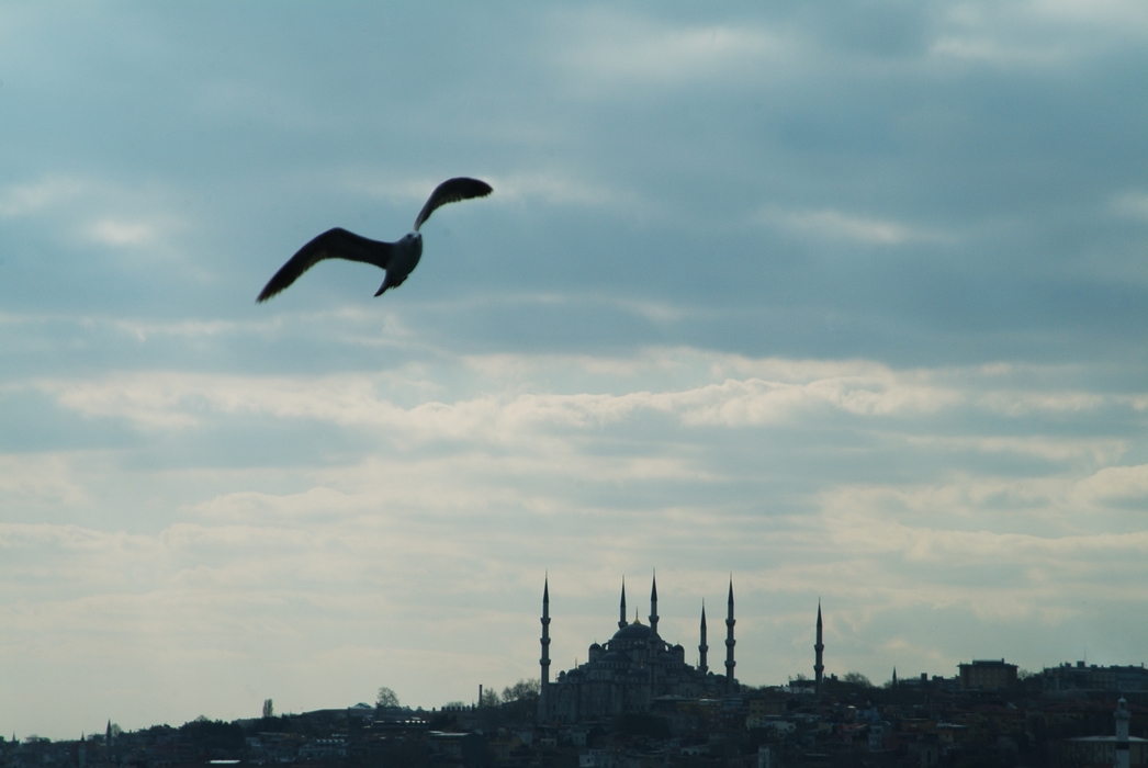 Hagia Sophia from the Bosphorus Istanbul, Turkey