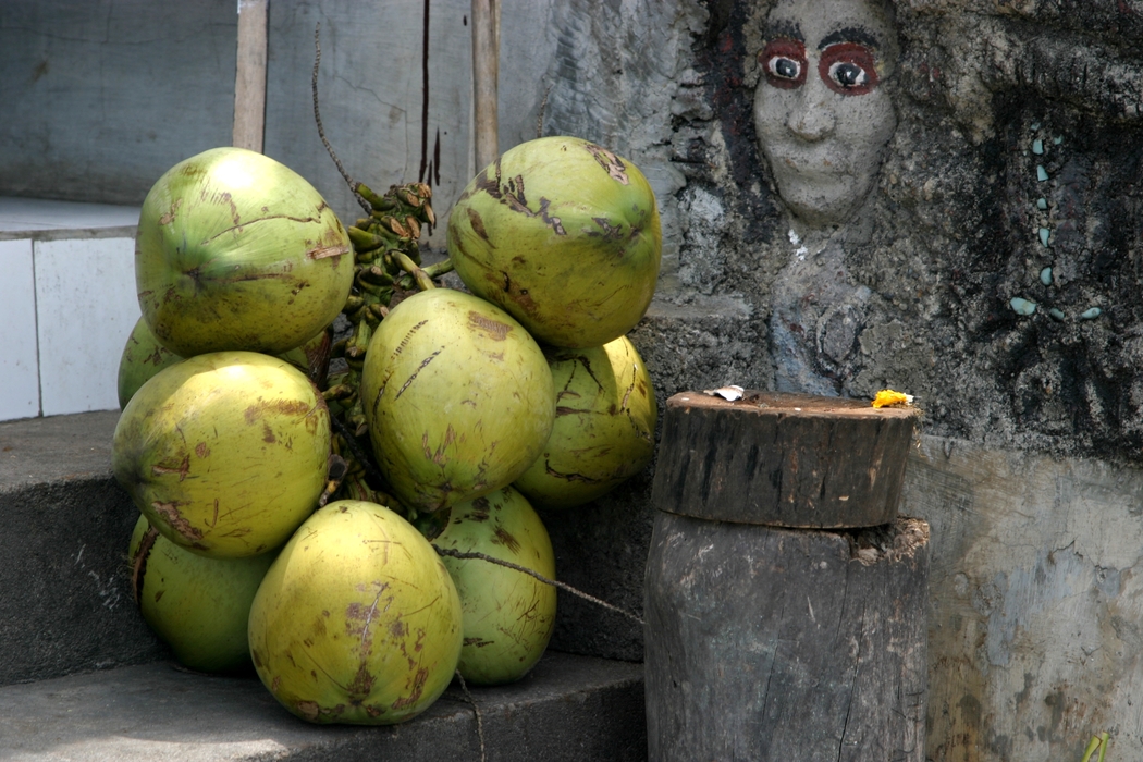 Ripe Coconuts