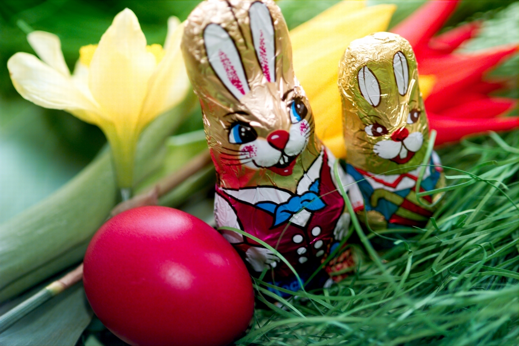 Chocolate Easter Bunnies with Red Easter Egg