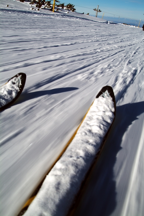 Downhill Skiing in the Tracks