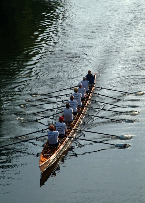 Sculling Rowers in a Coxed Eight Boat