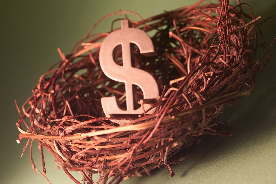 Nest with Dollar Symbol
