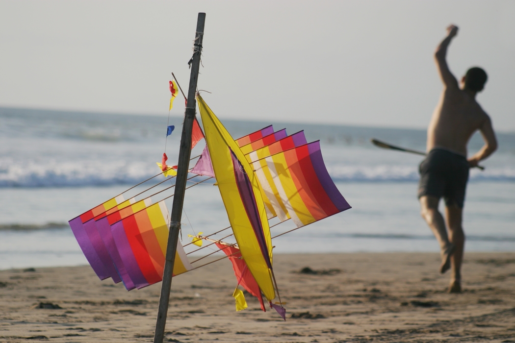 Kite Flying At The Beach